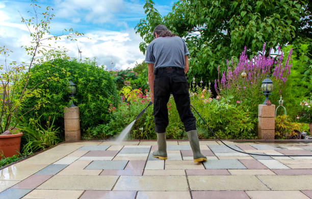 Best Driveway Cleaning and Restoration in East San Gabriel, CA